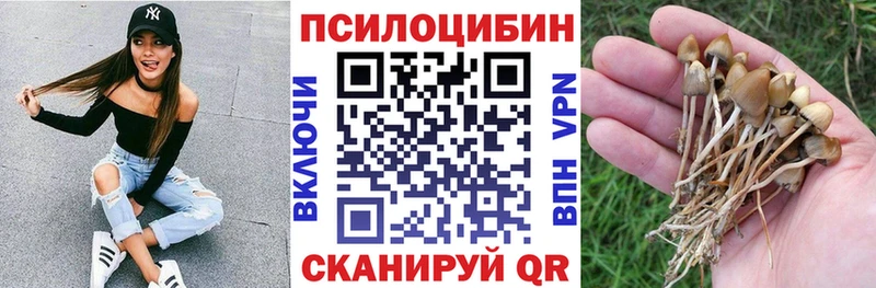 Галлюциногенные грибы MAGIC MUSHROOMS  Купить где  Ясногорск 